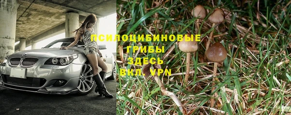 дурь Каменка