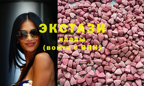 стаф Зерноград