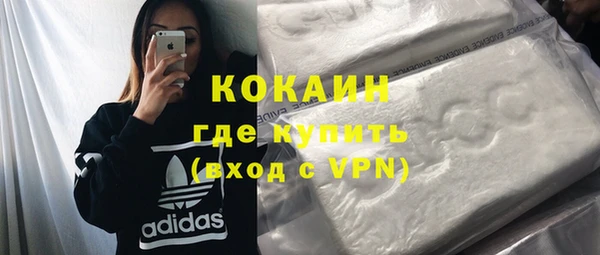 дурь Каменка