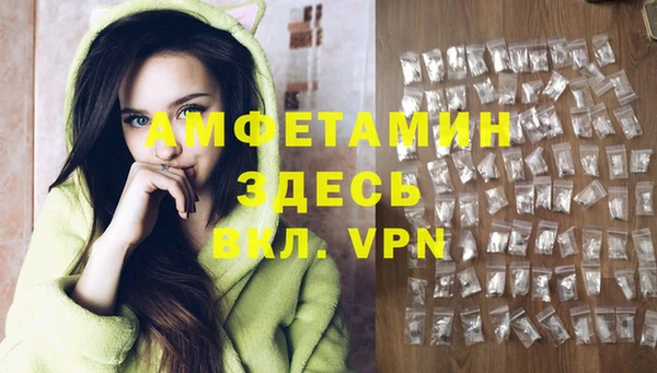 дурь Каменка