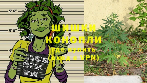 стаф Зерноград
