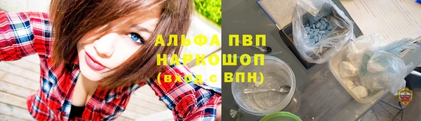 дурь Каменка