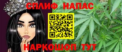 мяу мяу мука Абакан