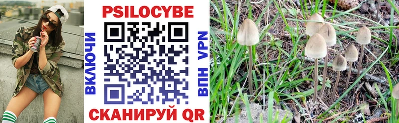 Галлюциногенные грибы MAGIC MUSHROOMS  гидра ТОР  Канск 