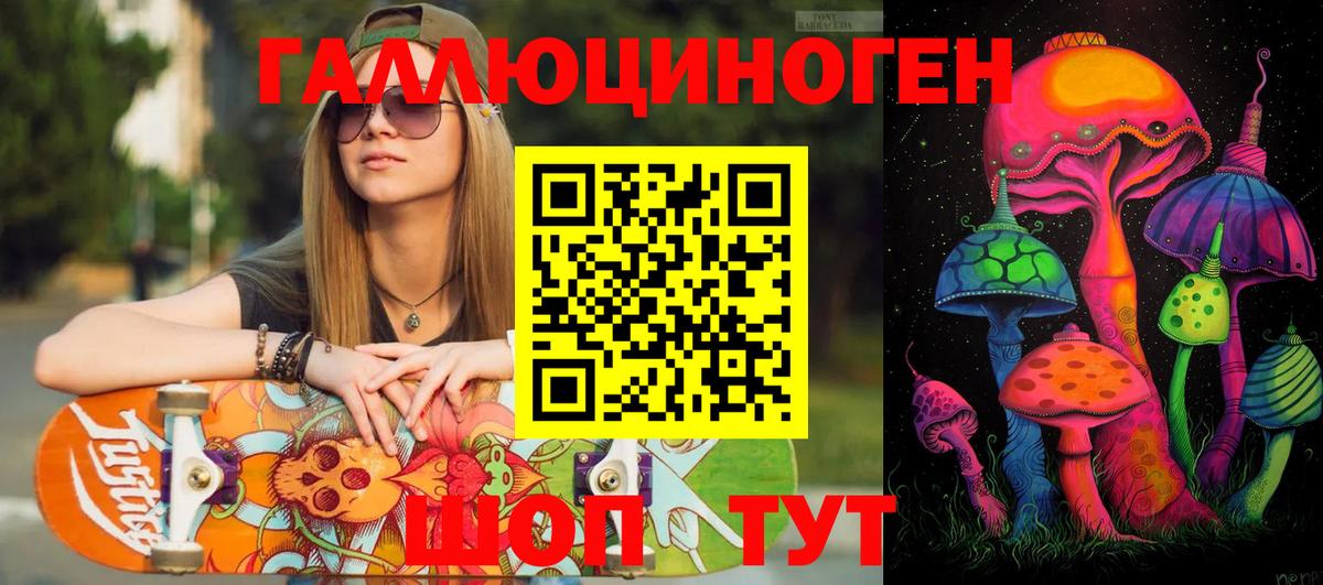 Галлюциногенные грибы Psilocybe  Канск 