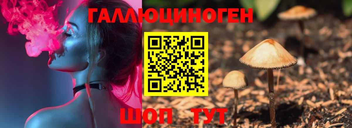 дарнет шоп  Галлюциногенные грибы мухоморы  Вход с VPN  Галлюциногенные грибы Psilocybe  Канск 