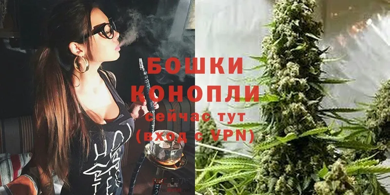 Марихуана OG Kush  даркнет сайт  Канск 